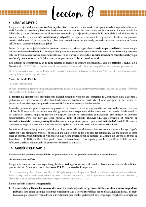 Miniatura del documento Leccion-8-Garantias-del-Derecho-de-la-Informacion.pdf
