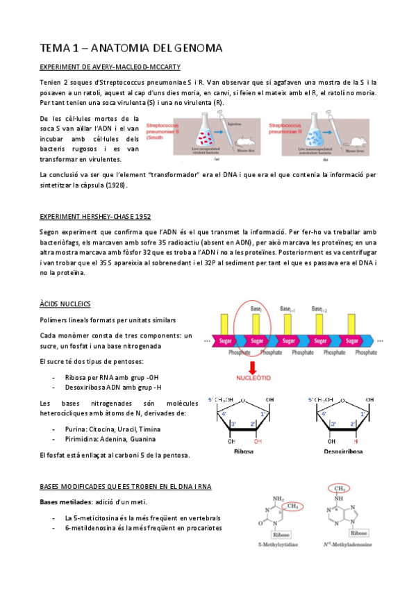 Miniatura del documento TOT-TEMARI.pdf