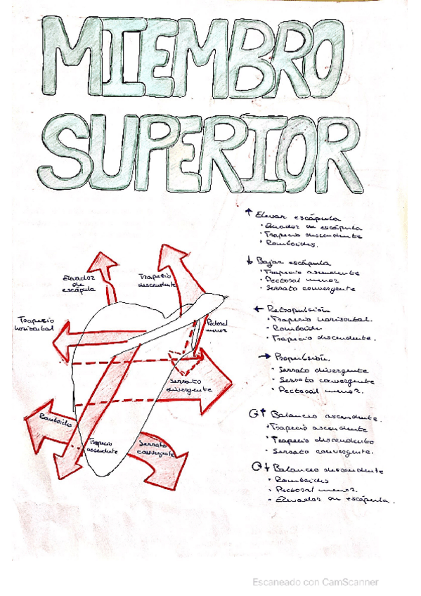 Miniatura del documento CamScanner-12-27-2021-15.pdf