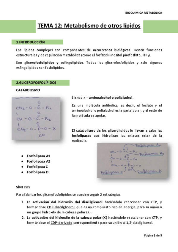 Miniatura del documento TEMA-12.pdf