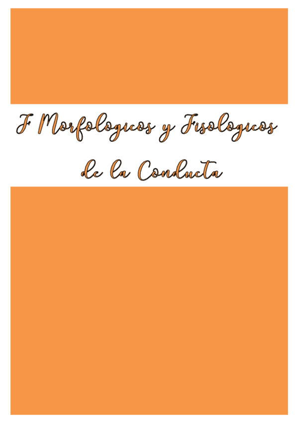 Miniatura del documento Apuntes-en-limpio-MORFOLOGICOS-porffa.pdf