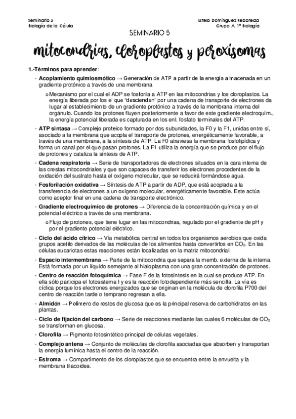 Miniatura del documento Seminario-5 corregido.pdf
