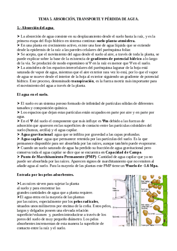 Miniatura del documento Tema-5-Biologia-Vegetal.pdf