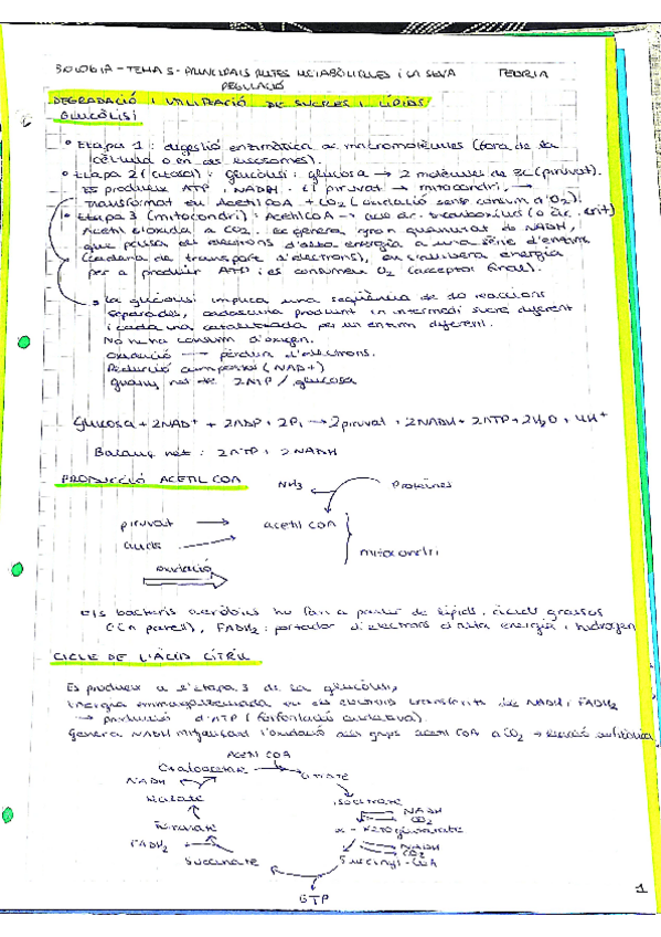 Miniatura del documento BIO-TEMA-5.pdf