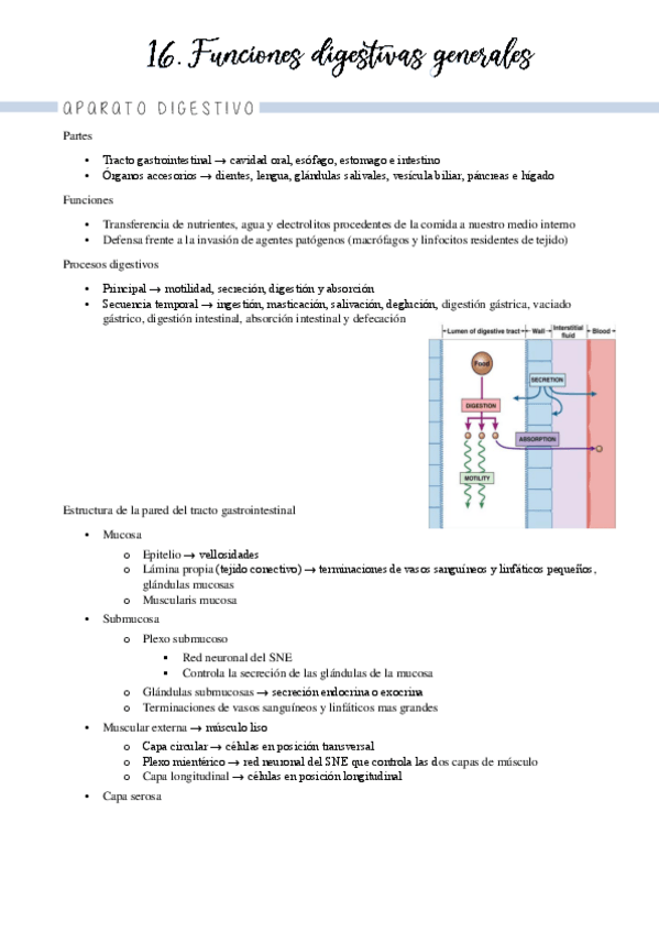 Miniatura del documento Bloque 4 sistema digestivo (temas 16-17)