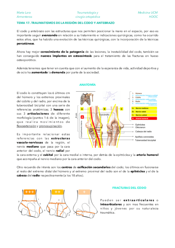 Miniatura del documento TRAU-TEMA-17.pdf