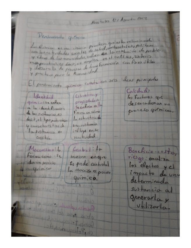 Miniatura del documento PENSAMIENTO-QUIMICO-.pdf