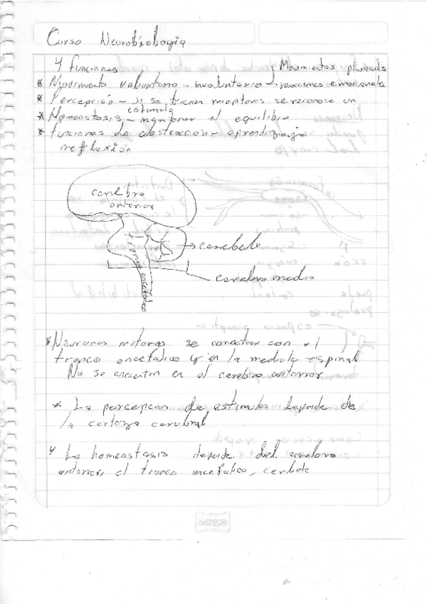 Miniatura del documento Neurobiologia1.pdf
