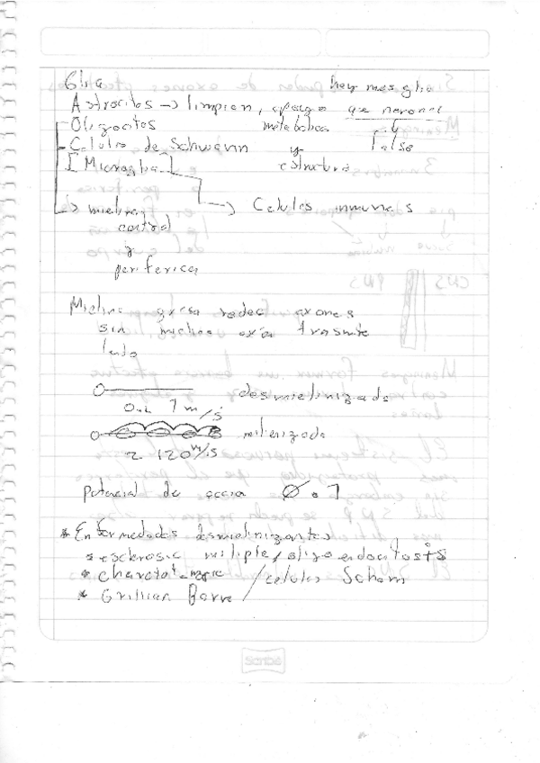 Miniatura del documento Neurobiologia2.pdf