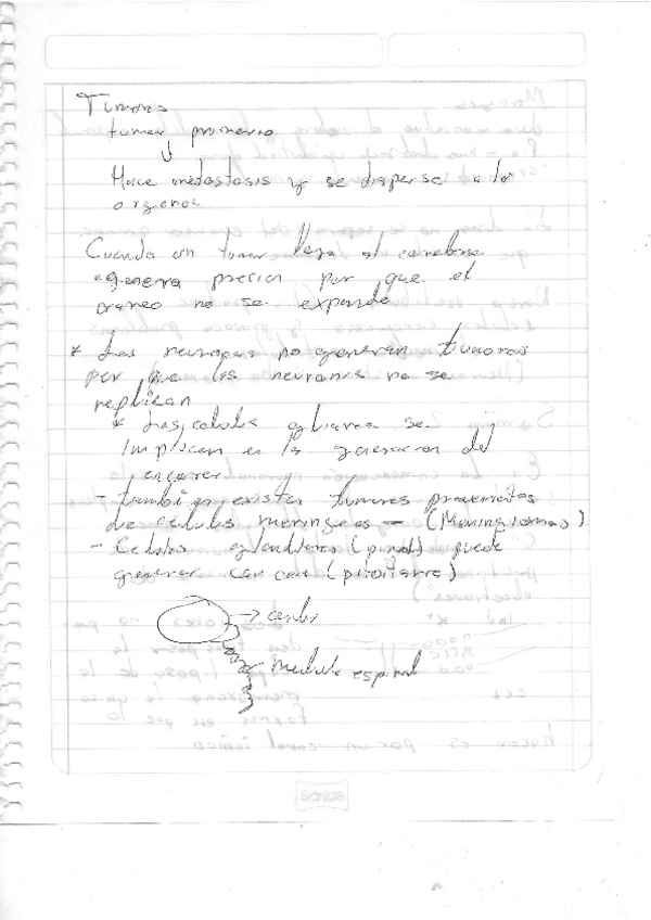 Miniatura del documento Neurobiologia3.pdf