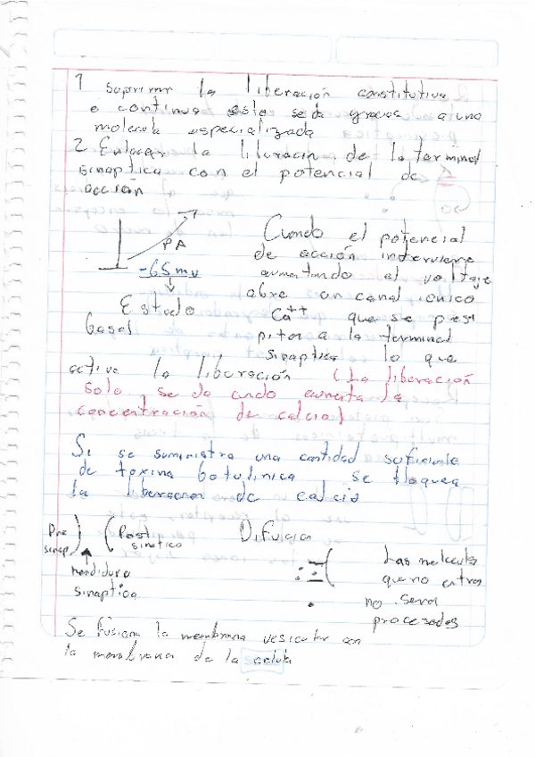 Miniatura del documento neurobilogia5.pdf