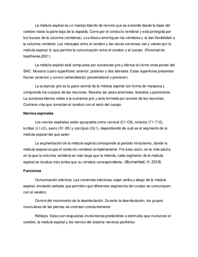 Miniatura del documento ANATOMIA-medula-espinal.pdf