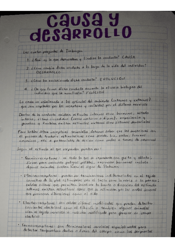 Miniatura del documento CAUSA-Y-DESARROLLO.pdf
