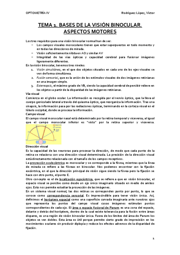 Miniatura del documento Temario-Opto-IV.pdf