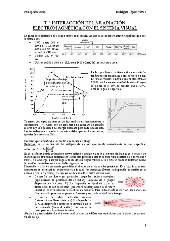 Miniatura del documento Temario-Percepcion-visual.pdf