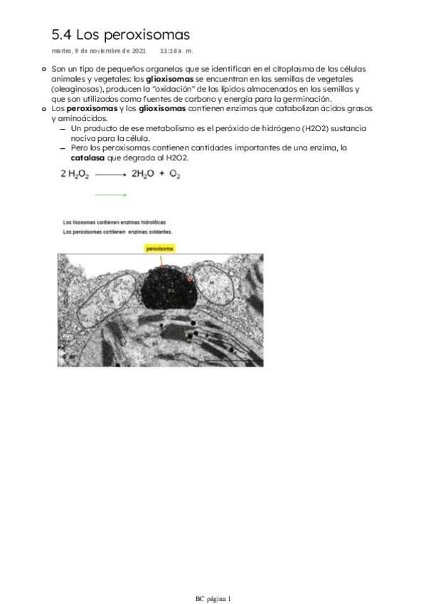 Miniatura del documento Los-peroxisomas.pdf