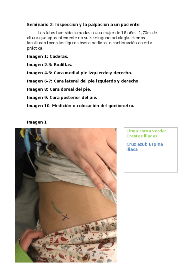 Miniatura del documento Seminario-2.docx