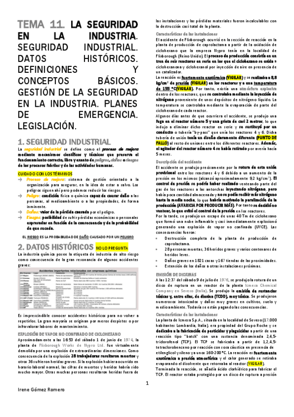 Miniatura del documento PRO-T11.pdf