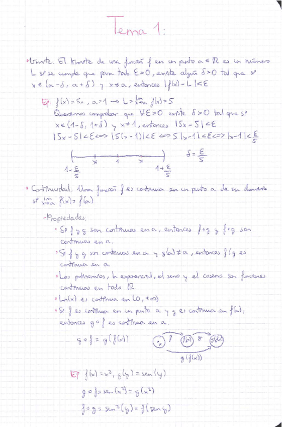 Miniatura del documento Calc1-Entero.pdf