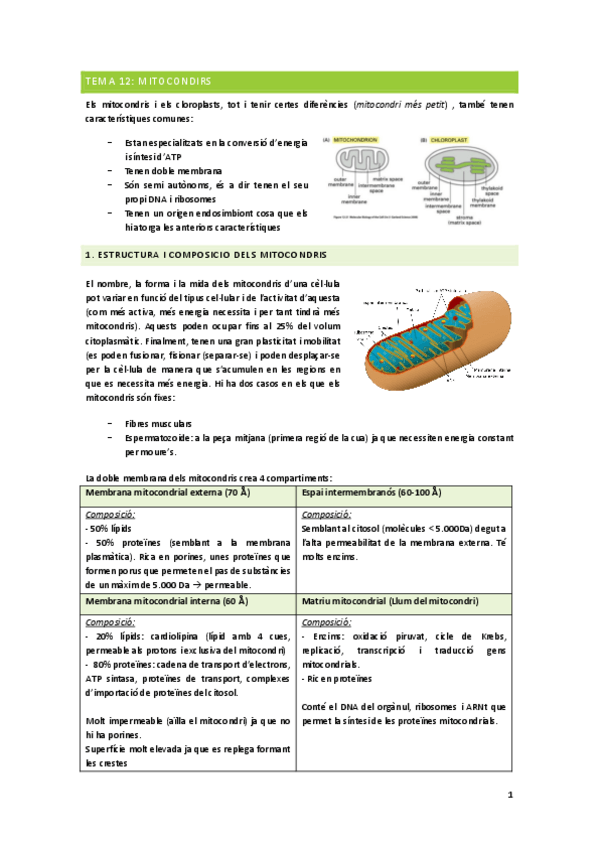 Miniatura del documento Biologia cel·lular 2on parcial.pdf