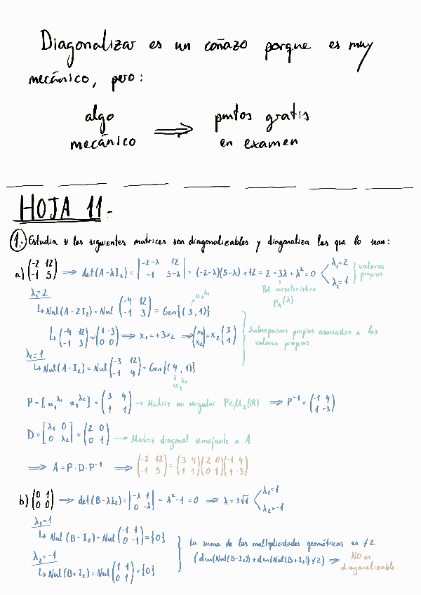 Miniatura del documento Hojas-11-12.pdf