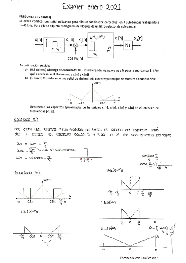 Miniatura del documento ENERO-2021-RESUELTO.pdf
