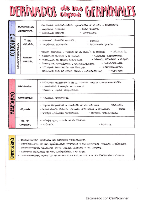 Miniatura del documento DerivadosCapasGerminales.pdf