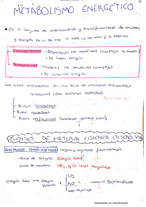 Miniatura del documento apuntes-metabolismo-energetico-bioquimica.pdf