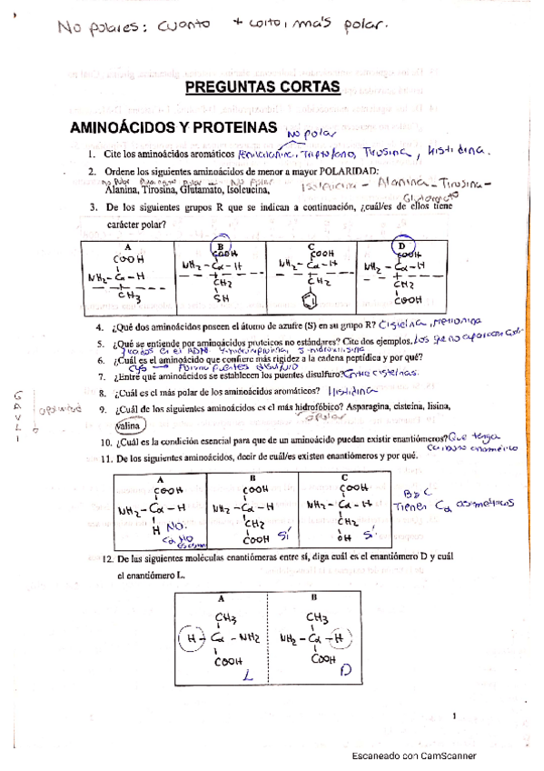 Miniatura del documento preguntas-cortas-examen-bioquimica.pdf