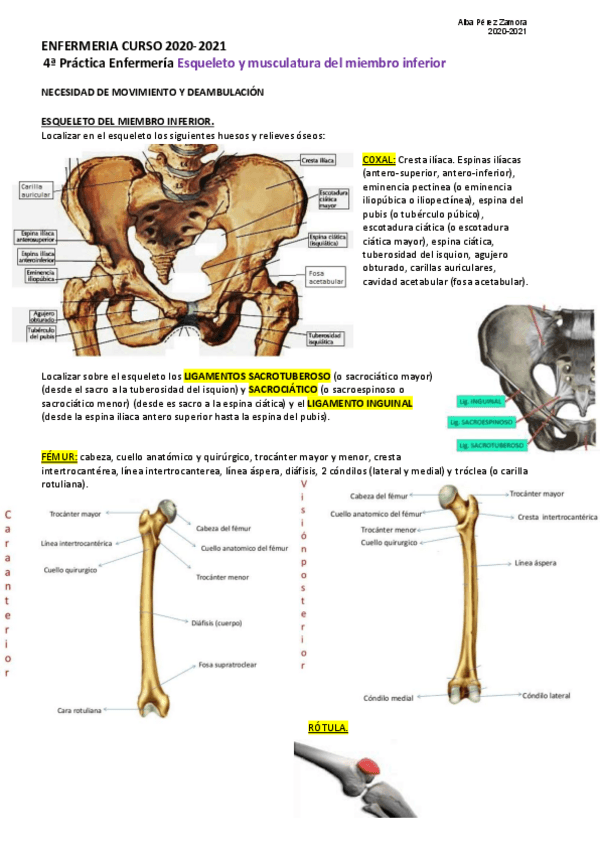 Miniatura del documento Practica-4-y5-resumida-Alba.pdf