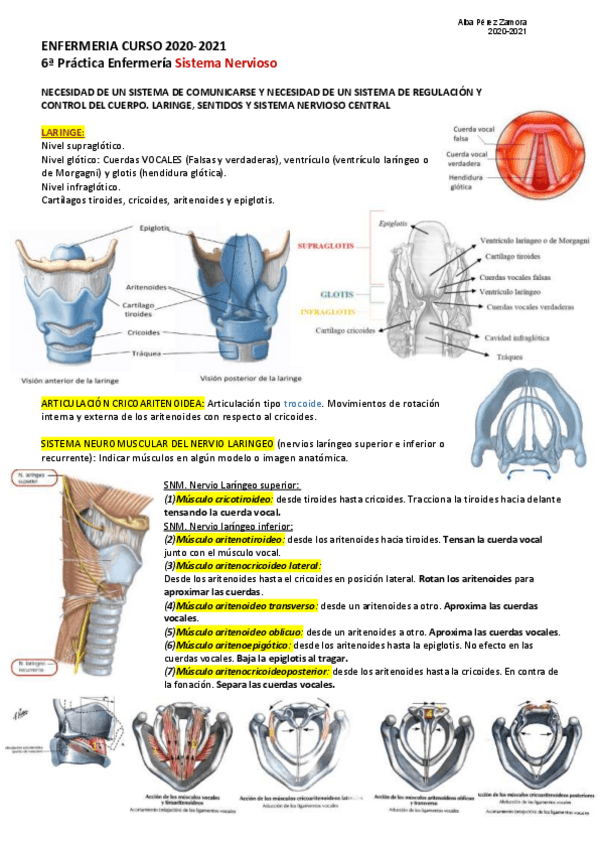 Miniatura del documento Practica-6-resumida-Alba.pdf