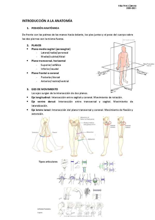 Miniatura del documento INTRODUCCION-A-LA-ANATOMIA.pdf