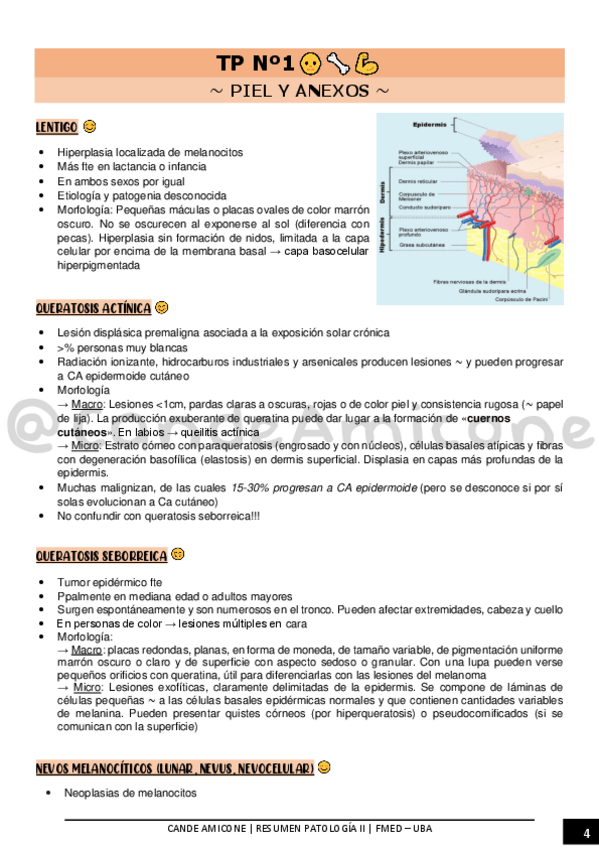 Miniatura del documento TP-1.pdf