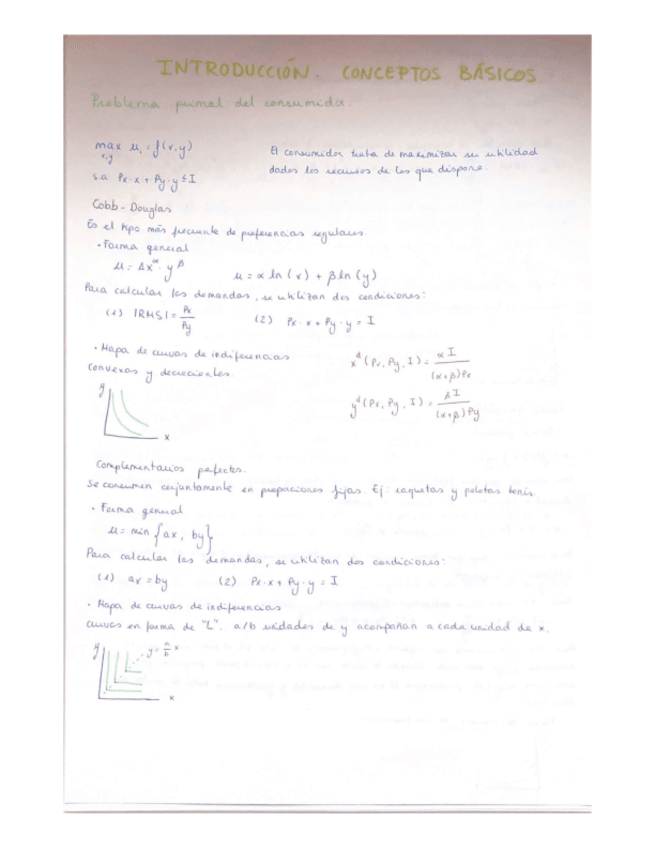 Miniatura del documento Resumen-general.pdf