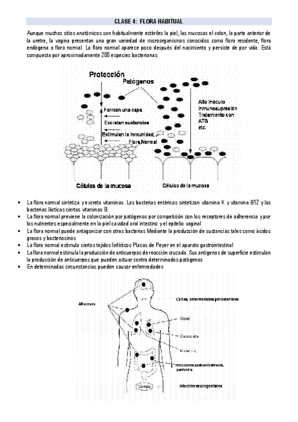 Miniatura del documento FLORA-HABITUAL.pdf