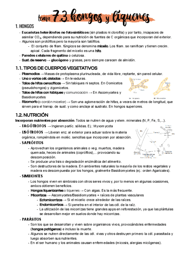 Miniatura del documento Tema-7-3.pdf