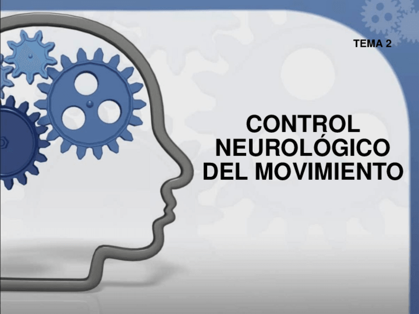 Miniatura del documento TEMA-2-CONTROL-NEURONAL-DEL-MOVIMIENTO.pdf