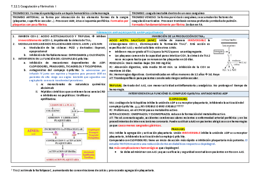 Miniatura del documento T.pdf