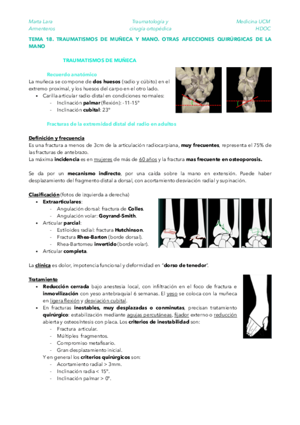 Miniatura del documento TRAU-TEMA-18.pdf