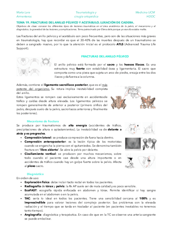 Miniatura del documento TRAU-TEMA-19.pdf