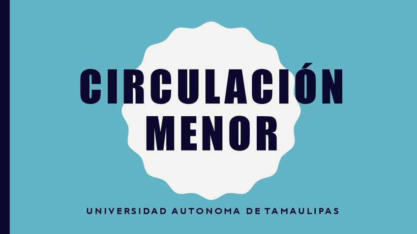 Miniatura del documento Circulacion-menor.pdf