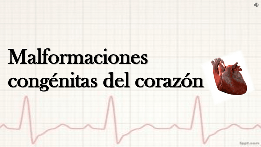 Miniatura del documento MALFORMACIONES-CONGENITAS-em.pdf