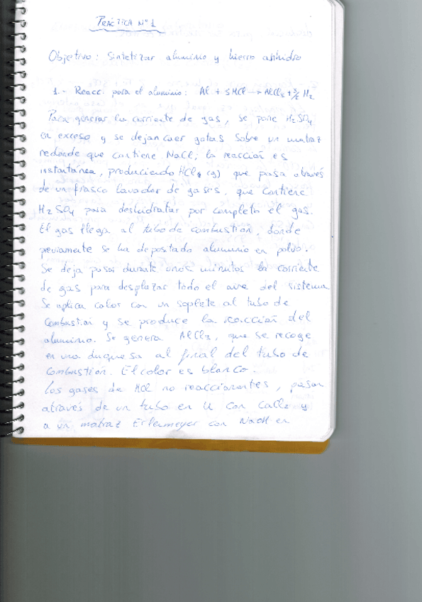 Miniatura del documento Prácticas Inorgánica.pdf