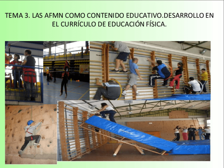 Miniatura del documento TEMA-3.pdf