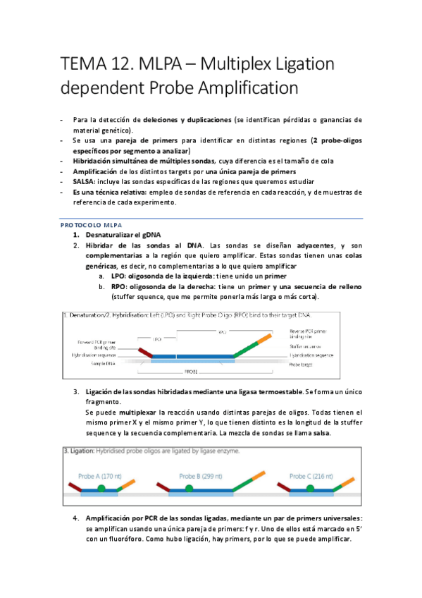 Miniatura del documento DIAGNOSTICO-67-74.pdf
