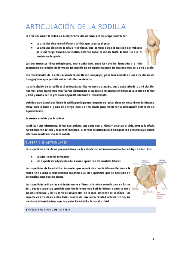 Miniatura del documento 12.pdf