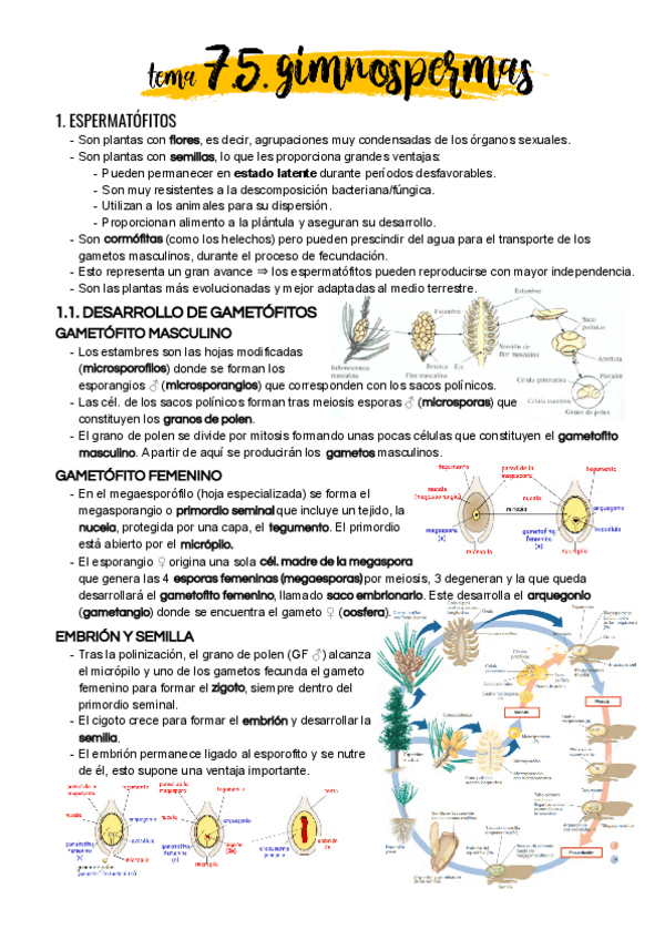 Miniatura del documento Tema-7-5.pdf