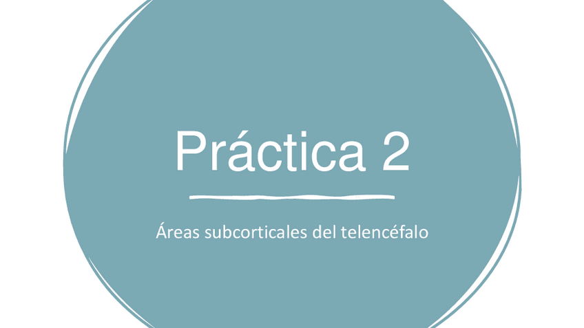 Miniatura del documento Practica-2-Areas-subcorticales-del-telencefalo.pdf