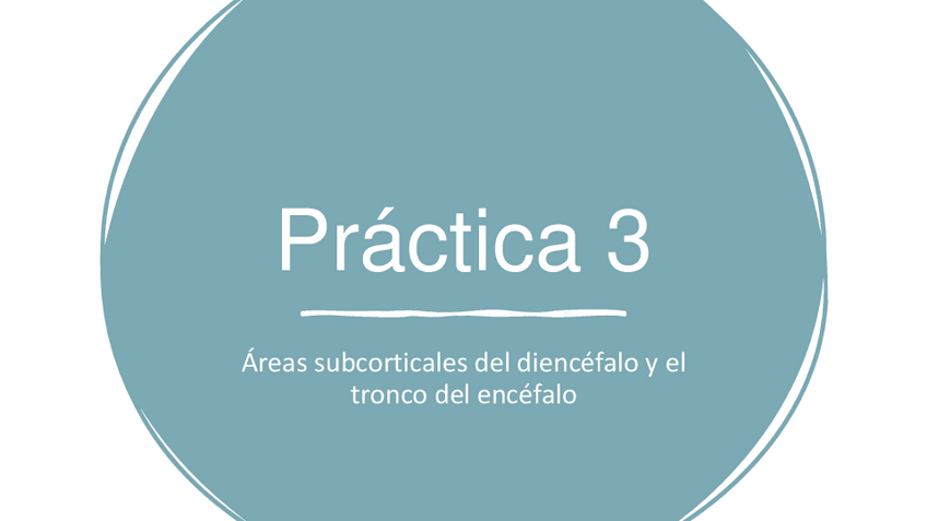 Miniatura del documento Practica-3-Areas-subcorticales-del-diencefalo-y-el-tronco-del-encefalo.pdf