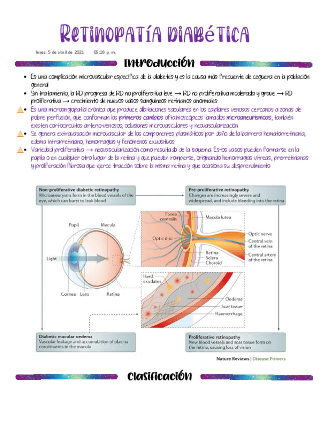 Miniatura del documento 1FER-Retinopatia-diabetica.pdf